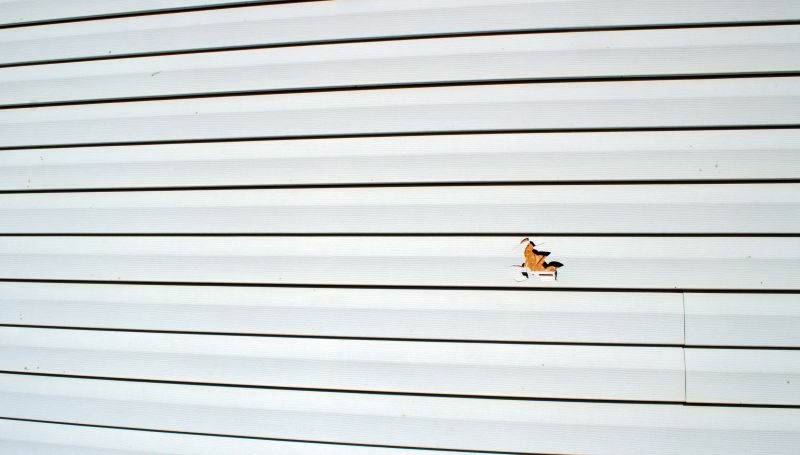 Vinyl Siding Repair detail